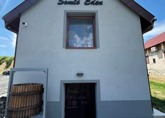 Apartment Somlo Eden *